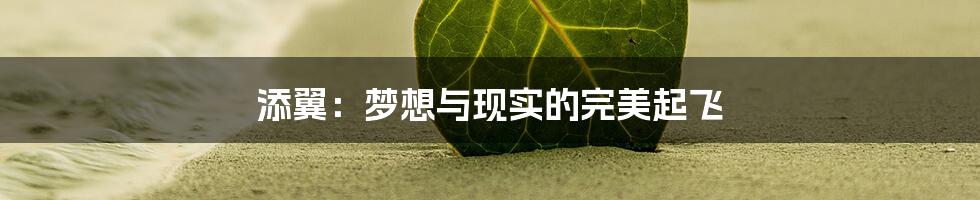 添翼：梦想与现实的完美起飞