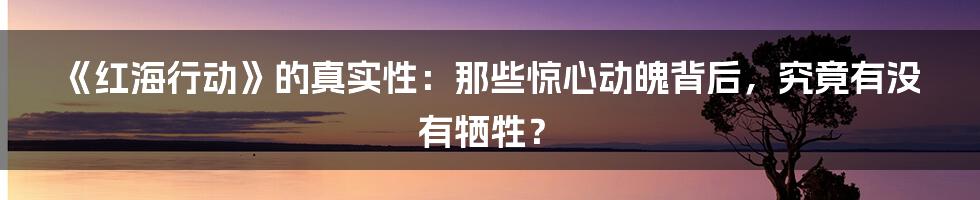 《红海行动》的真实性：那些惊心动魄背后，究竟有没有牺牲？