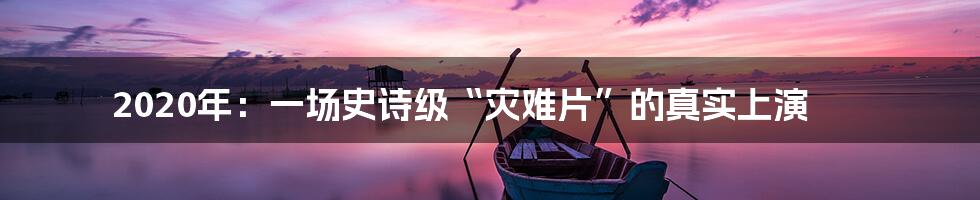 2020年：一场史诗级“灾难片”的真实上演