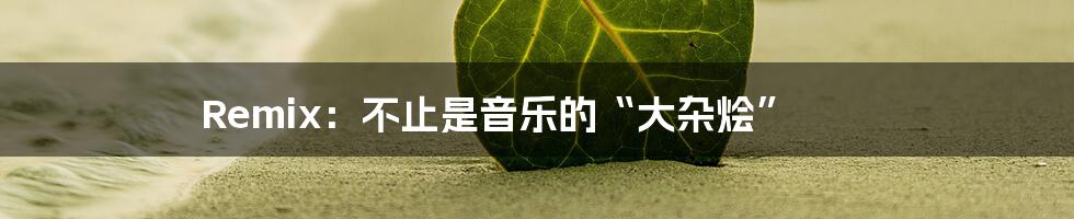 Remix:不止是音乐的“大杂烩”