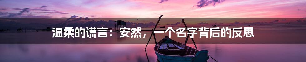 温柔的谎言:安然,一个名字背后的反思