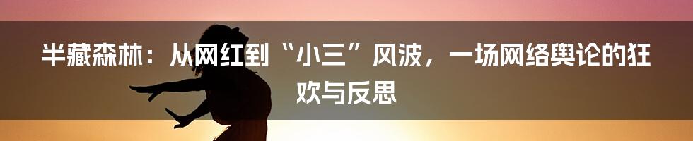 半藏森林:从网红到“小三”风波,一场网络舆论的狂欢与反思