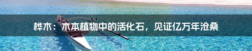 桦木：木本植物中的活化石，见证亿万年沧桑