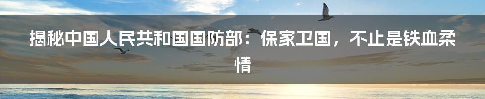 揭秘中国人民共和国国防部：保家卫国，不止是铁血柔情