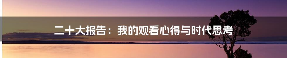 二十大报告:我的观看心得与时代思考