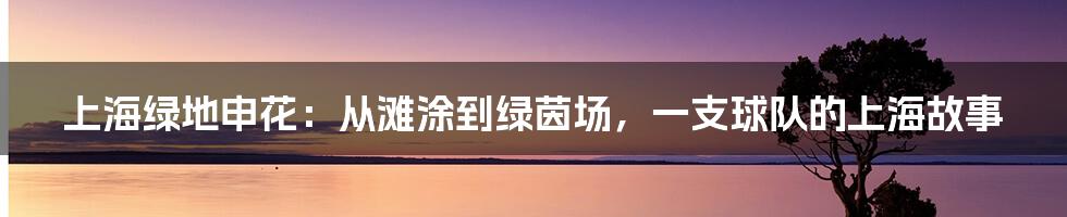 上海绿地申花：从滩涂到绿茵场，一支球队的上海故事