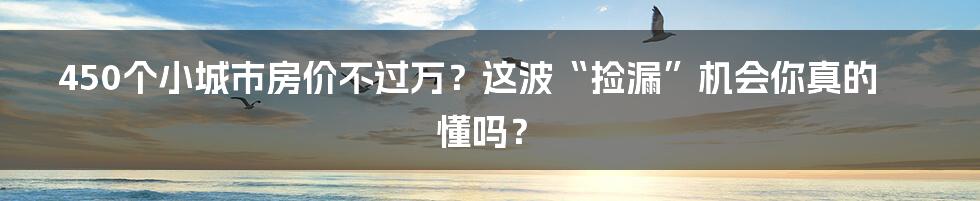 450个小城市房价不过万?这波“捡漏”机会你真的懂吗?