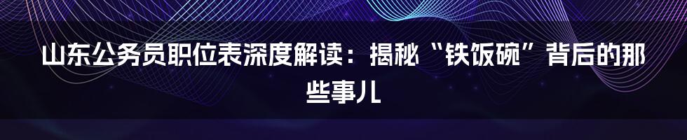 山东公务员职位表深度解读:揭秘“铁饭碗”背后的那些事儿