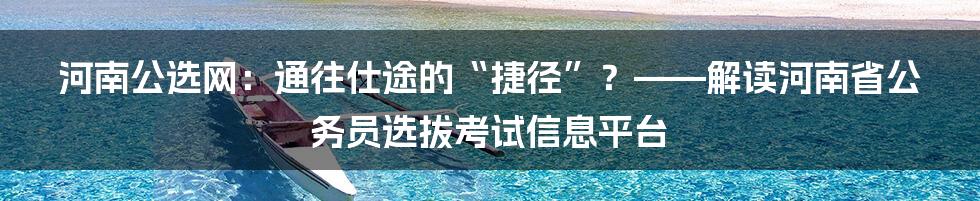 河南公选网：通往仕途的“捷径”？——解读河南省公务员选拔考试信息平台