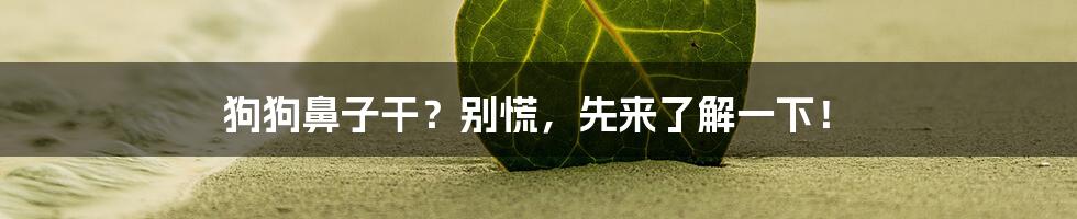 狗狗鼻子干？别慌，先来了解一下！