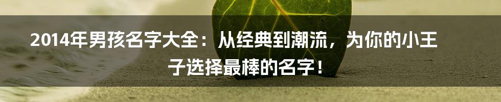2014年男孩名字大全：从经典到潮流，为你的小王子选择最棒的名字！