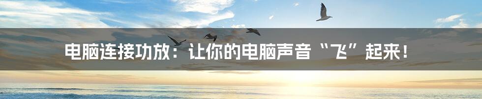 电脑连接功放:让你的电脑声音“飞”起来!