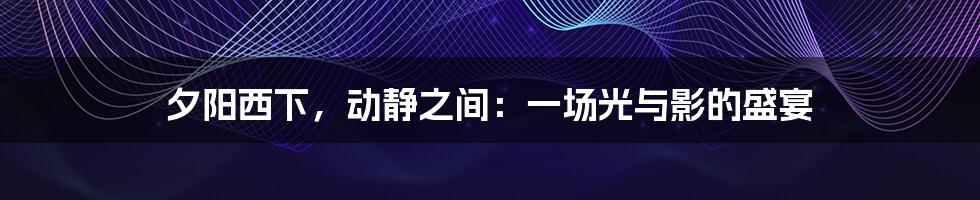 夕阳西下，动静之间：一场光与影的盛宴