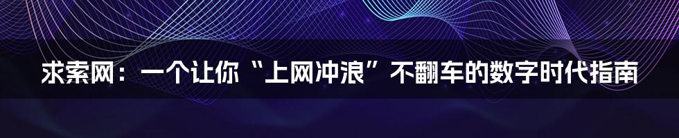 求索网：一个让你“上网冲浪”不翻车的数字时代指南