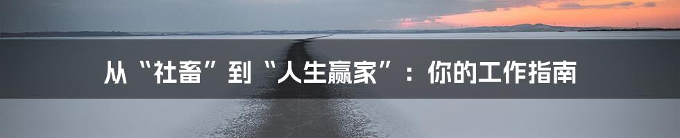 从“社畜”到“人生赢家”：你的工作指南