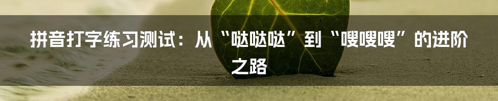 拼音打字练习测试:从“哒哒哒”到“嗖嗖嗖”的进阶之路