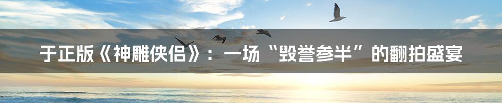 于正版《神雕侠侣》:一场“毁誉参半”的翻拍盛宴