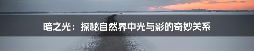暗之光：探秘自然界中光与影的奇妙关系