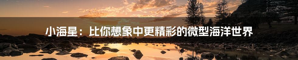 小海星:比你想象中更精彩的微型海洋世界