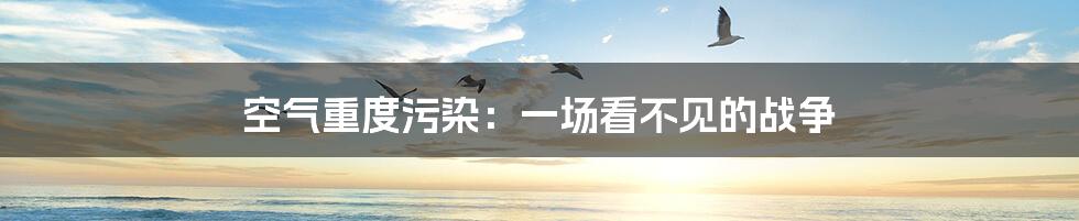 空气重度污染：一场看不见的战争