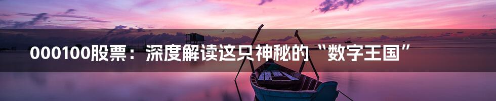000100股票:深度解读这只神秘的“数字王国”
