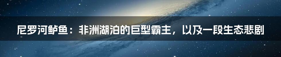 尼罗河鲈鱼:非洲湖泊的巨型霸主,以及一段生态悲剧