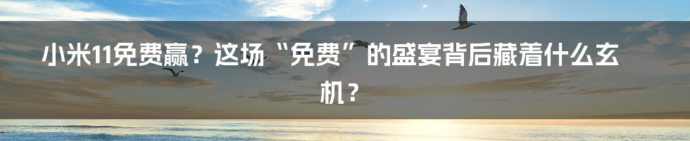 小米11免费赢？这场“免费”的盛宴背后藏着什么玄机？