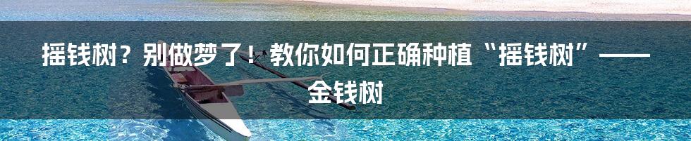 摇钱树?别做梦了!教你如何正确种植“摇钱树”——金钱树