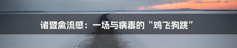 诸暨禽流感:一场与病毒的“鸡飞狗跳”