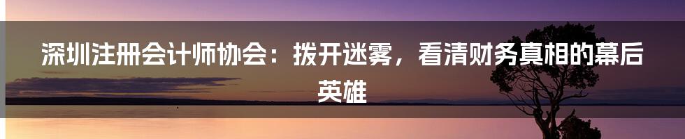 深圳注册会计师协会：拨开迷雾，看清财务真相的幕后英雄