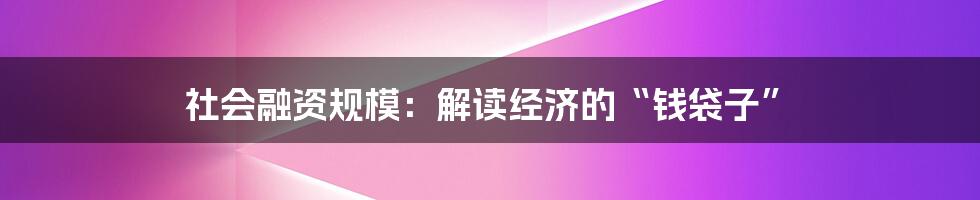 社会融资规模:解读经济的“钱袋子”