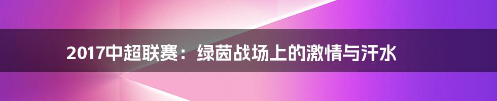 2017中超联赛:绿茵战场上的激情与汗水