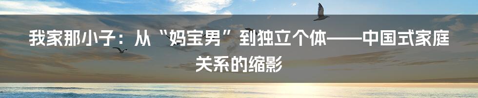 我家那小子:从“妈宝男”到独立个体——中国式家庭关系的缩影