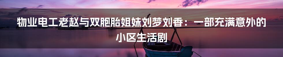 物业电工老赵与双胞胎姐妹刘梦刘香：一部充满意外的小区生活剧