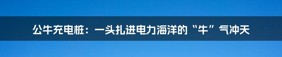 公牛充电桩：一头扎进电力海洋的“牛”气冲天