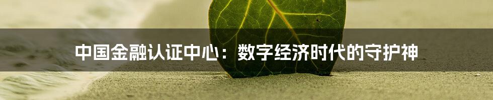 中国金融认证中心:数字经济时代的守护神