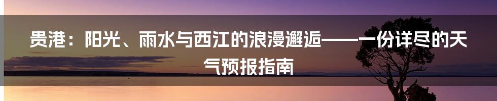 贵港：阳光、雨水与西江的浪漫邂逅——一份详尽的天气预报指南