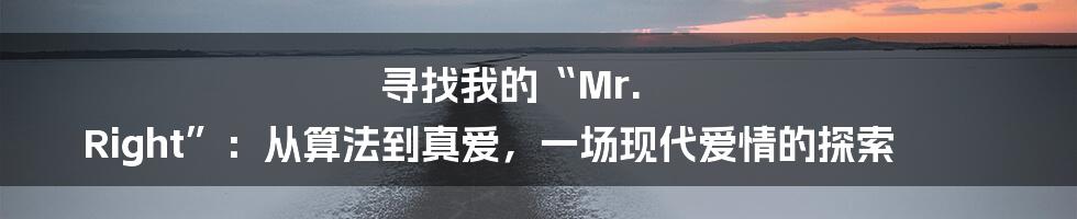 寻找我的“Mr. Right”:从算法到真爱,一场现代爱情的探索