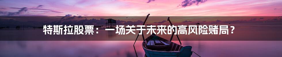 特斯拉股票:一场关于未来的高风险赌局?