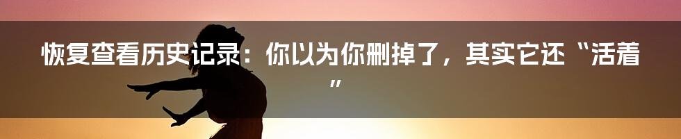 恢复查看历史记录：你以为你删掉了，其实它还“活着”