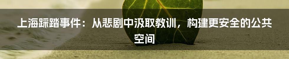 上海踩踏事件：从悲剧中汲取教训，构建更安全的公共空间