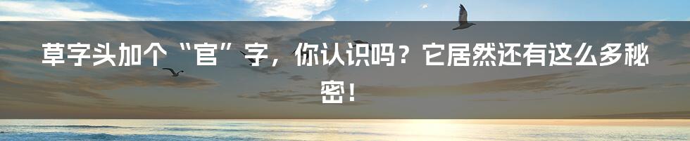 草字头加个“官”字,你认识吗?它居然还有这么多秘密!