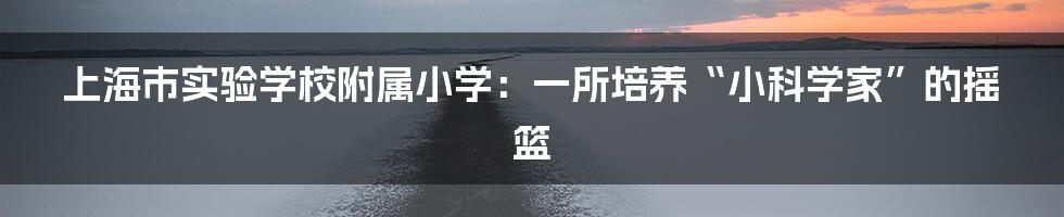 上海市实验学校附属小学：一所培养“小科学家”的摇篮