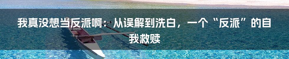 我真没想当反派啊：从误解到洗白，一个“反派”的自我救赎