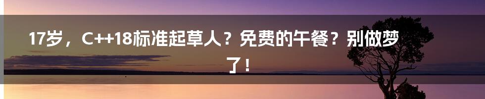 17岁,C++18标准起草人?免费的午餐?别做梦了!
