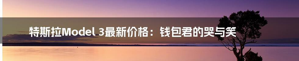 特斯拉Model 3最新价格:钱包君的哭与笑
