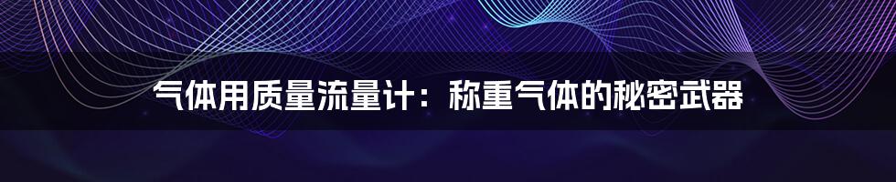 气体用质量流量计：称重气体的秘密武器