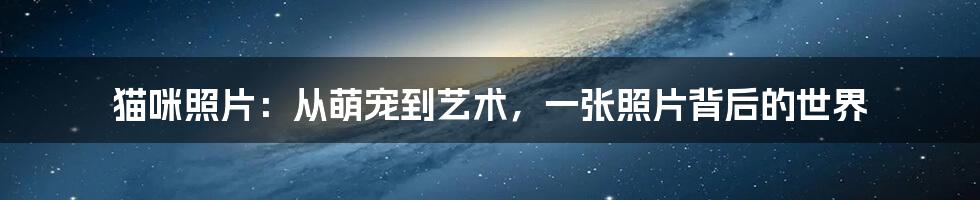 猫咪照片:从萌宠到艺术,一张照片背后的世界