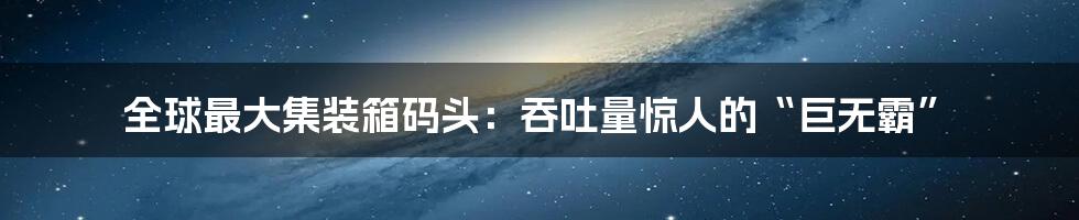 全球最大集装箱码头：吞吐量惊人的“巨无霸”
