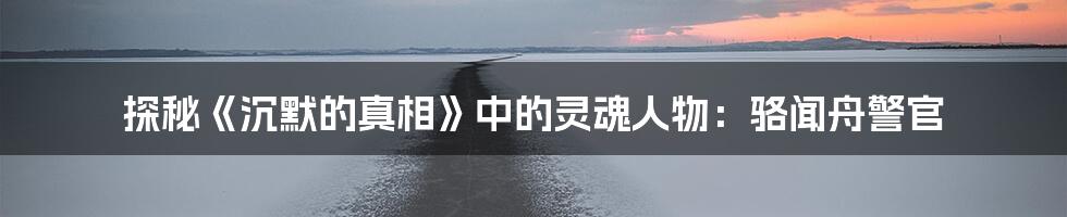 探秘《沉默的真相》中的灵魂人物:骆闻舟警官